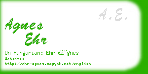 agnes ehr business card